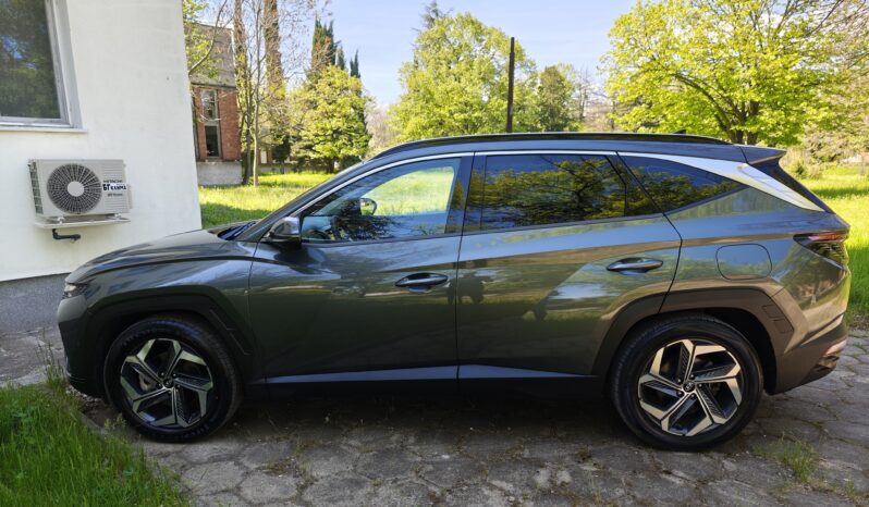 
								Hyundai Tucson									
