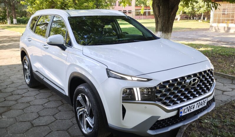 
								Hyundai Santa Fe									