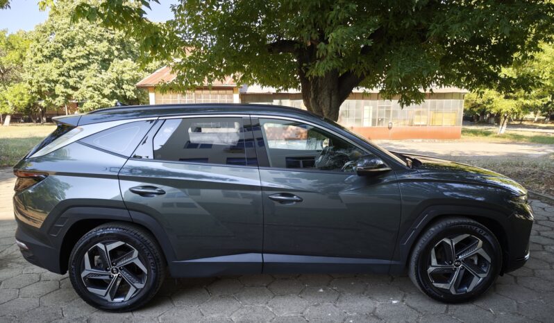 
								Hyundai Tucson									