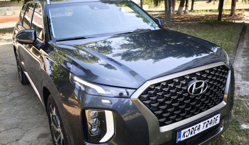 
								Hyundai Palisade									