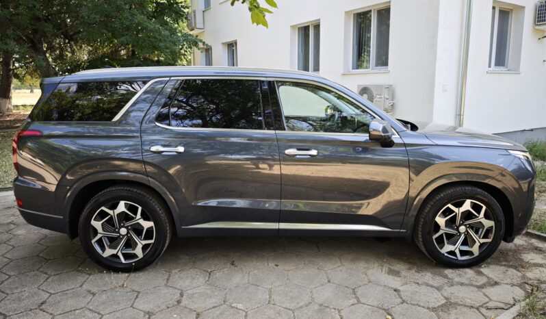 
								Hyundai Palisade									