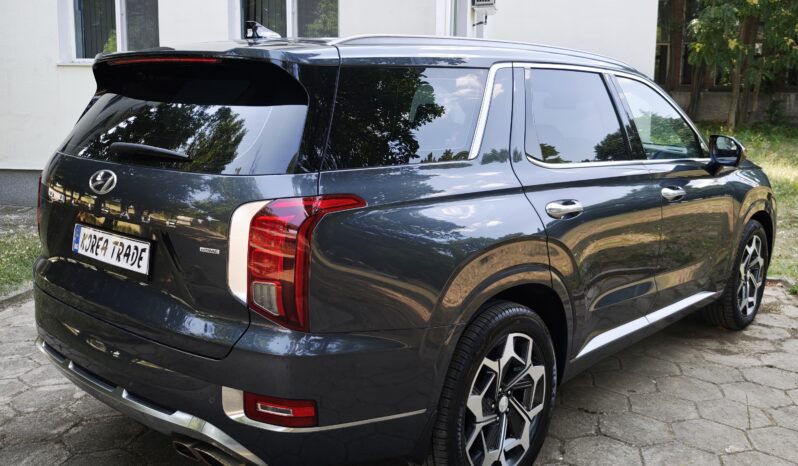 
								Hyundai Palisade									