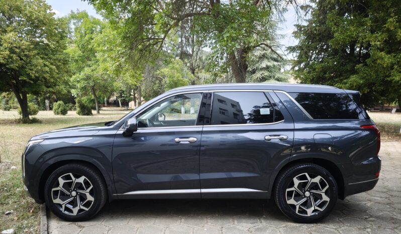 
								Hyundai Palisade									