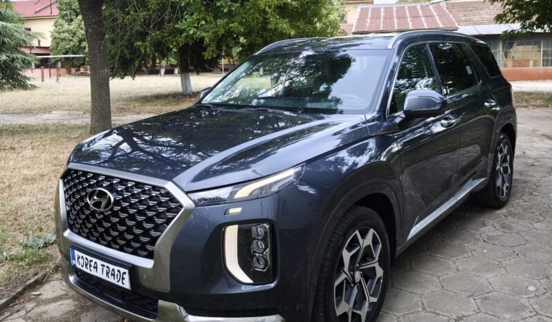 
								Hyundai Palisade									