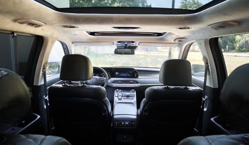 
								Hyundai Palisade									