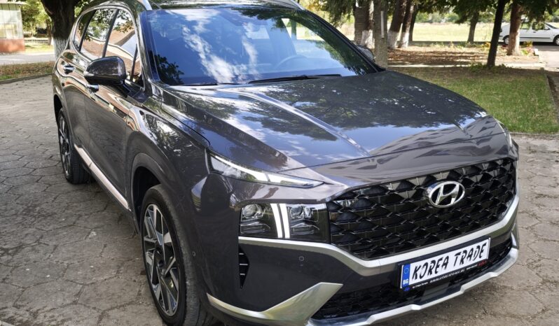 
								Hyundai Santa FE 6+1									