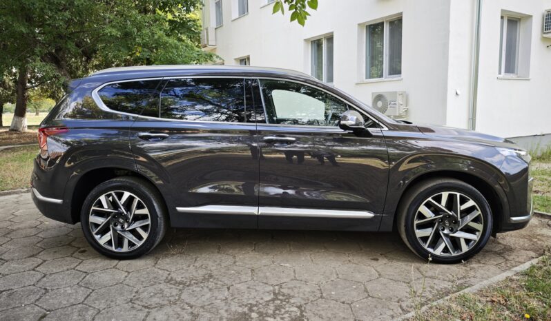
								Hyundai Santa FE 6+1									