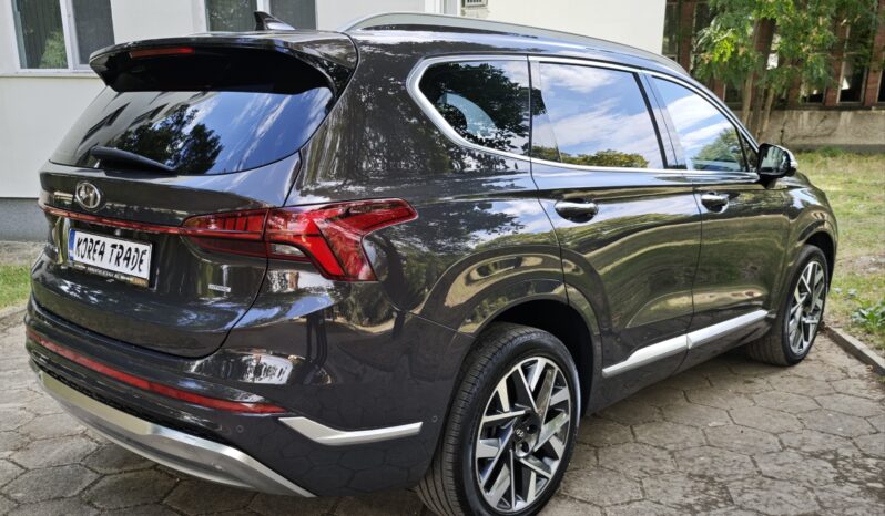 
								Hyundai Santa FE 6+1									