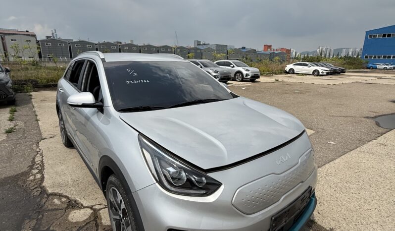 
								Kia Niro									