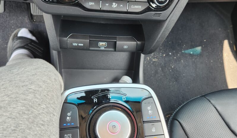 
								Kia Niro									